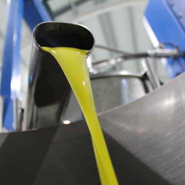 sevilla olijfolie fabriek tour