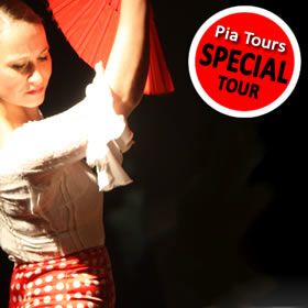 sevilla flamenco show dansen gids nederlands